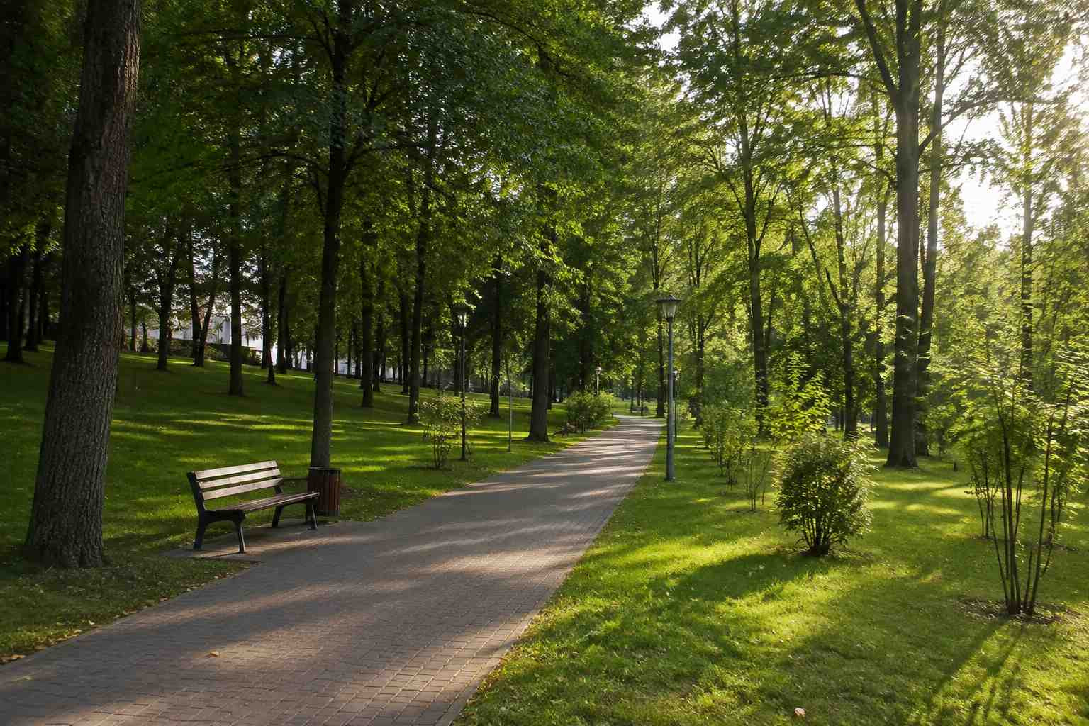 https://novokujbyshevsk.blago-s.ru/storage/app/uploads/public/6a7/eef/ed2/6a7eefed2af22038960370.jpg